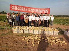 2017年滕州希森3號測產(chǎn)大賽圓滿(mǎn)成功